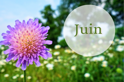 Programme de Juin
