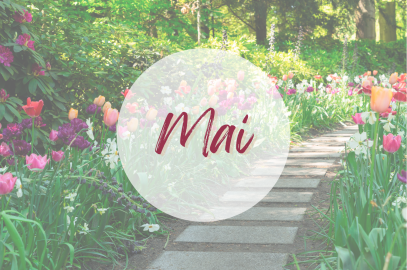 Programme du mois de mai