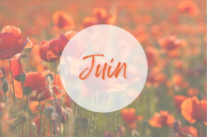Programme du mois de juin