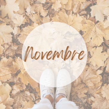 Programme de novembre